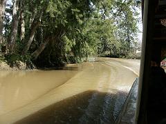 090822_Parana_delta 047